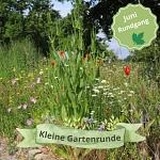 „Kleine Gartenrunde“ durch den Insektenschutz-Schaugarten im Umweltzentrum Hollen