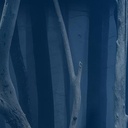 Taschenlampenführung Magie