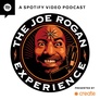 The Joe Rogan Experience