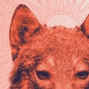 Zaubern müsste man können!