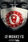 12 Monkeys