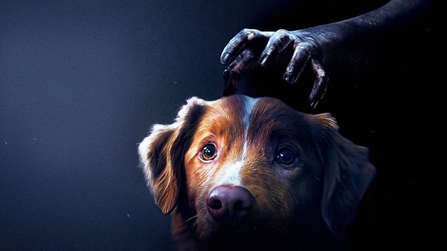 Good Boy - Trust His Instincts