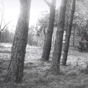 HERMINE OVERBECK-ROHTE