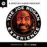 The Joe Rogan Experience