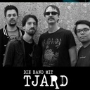 "Die Band mit Tjard" - Alternative Rock - Blues Rock