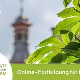 Energiemanagement - Was bringts?