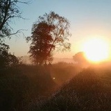 Everstener Moorspaziergänge