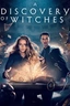 A Discovery of Witches