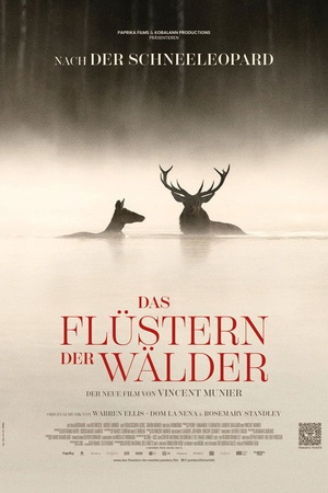 Das Flüstern der Wälder