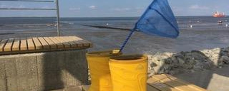 Altenbrucher Strandpiraten im Watt