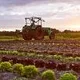 Solidarische Landwirtschaft: Hofführung beim Gemüsehof Lüninghausen
