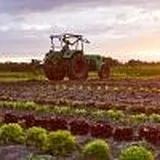 Solidarische Landwirtschaft: Hofführung beim Gemüsehof Lüninghausen