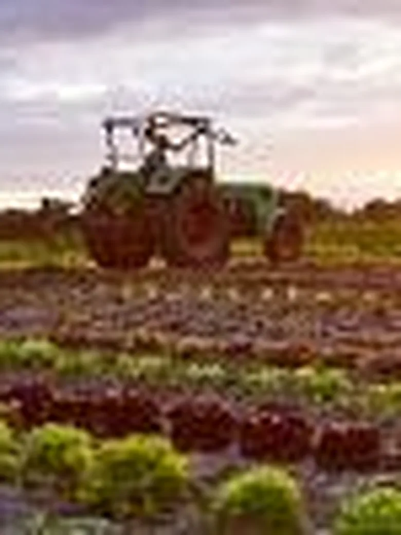 Solidarische Landwirtschaft: Hofführung beim Gemüsehof Lüninghausen