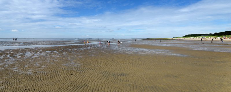 Das Wattenmeer erkunden