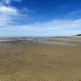 Das Wattenmeer erkunden