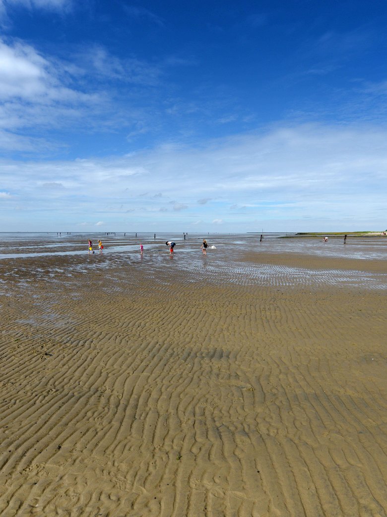 Das Wattenmeer erkunden