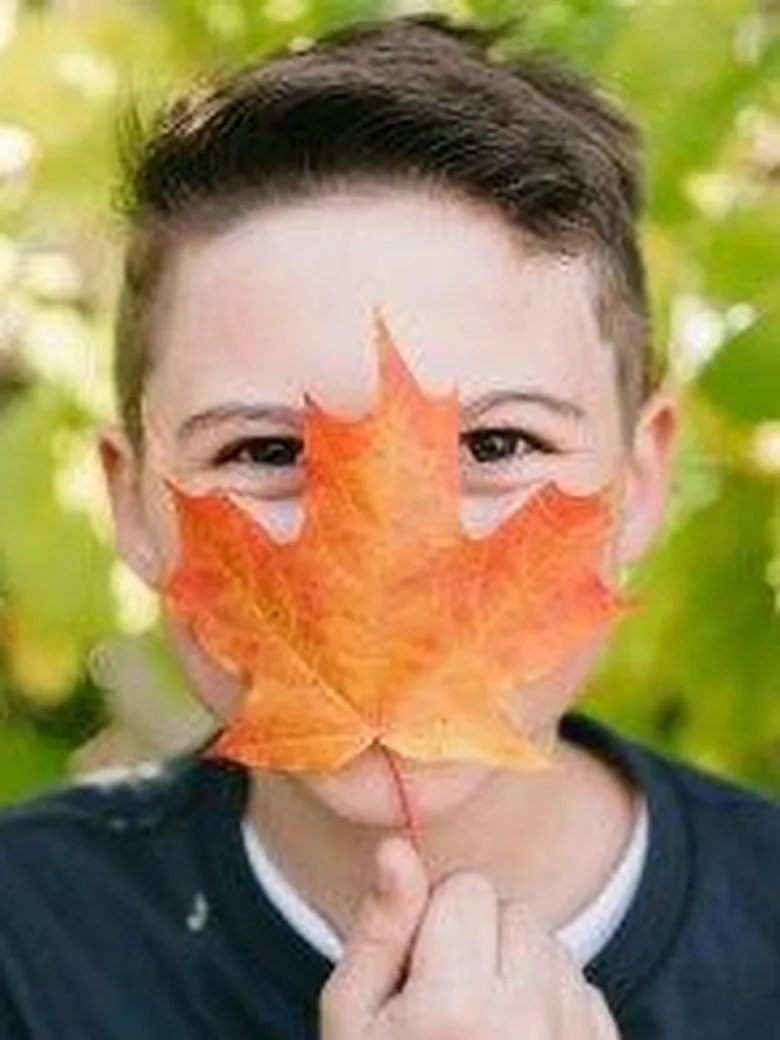 Garten im Wandel - Gemeinsam den Bäumen auf der…