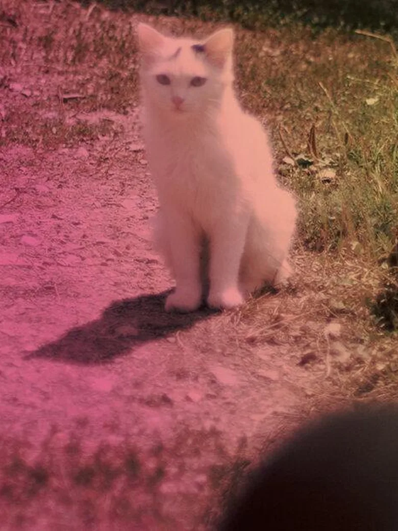 Rohdiamanten