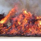 Osterfeuer in Neuenhuntorf