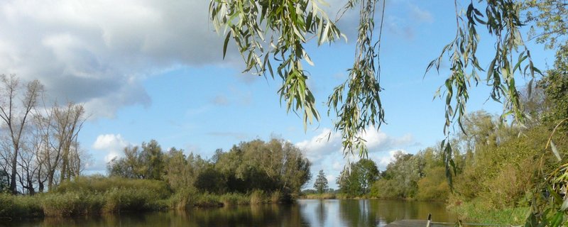 "Der Sommer swingt"