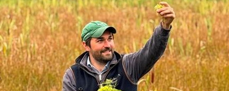 Landwirtschaft neu gedacht - Führungen bei ZukunftMoor