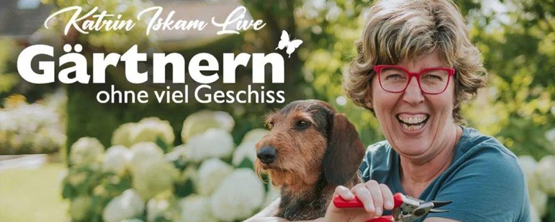 Katrin Iskam Live