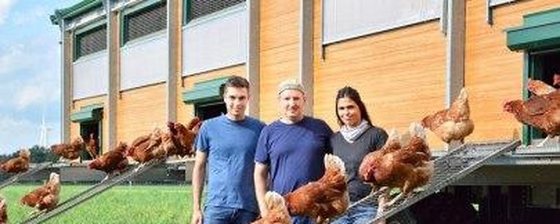 Exkursion zu einem Hühnerhof in Astederfeld