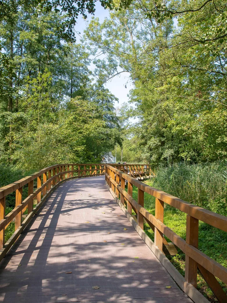 Spaziergang um das Zwischenahner Meer