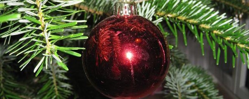Kommt, dass Friede werde … Weihnachtliche Musik zum Zuhören und Mitsingen