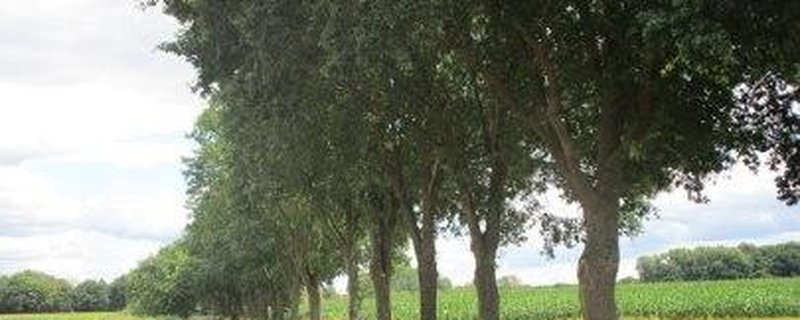 Rasthütten-Tour im Oldenburger Land