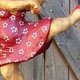 Kunstausstellung "Tiere und andere Menschen"
