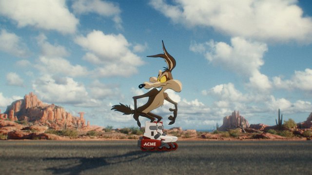 Coyote vs. ACME