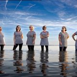 The Silver Darlings