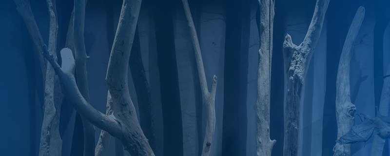 Taschenlampenführung Magie