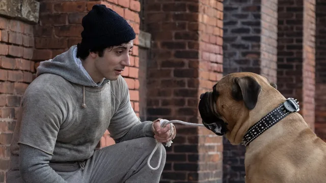 I Play Rocky