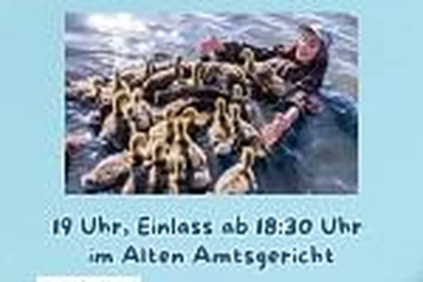 Jugendkino: Der Junge und die Wildgänse