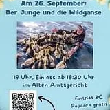 Jugendkino: Der Junge und die Wildgänse