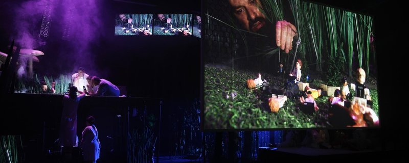 Der Zauberer von Öz – Eine Fußballtragödie