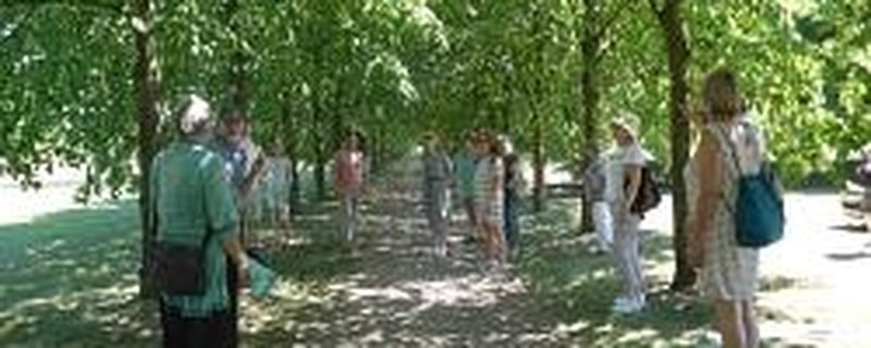 Öffentliche kulinarische Baumparkführung