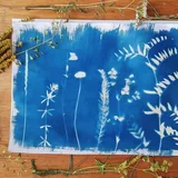 Magie in Blau