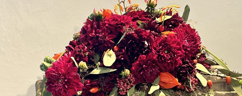 Hoppla, hier kommt die Blume