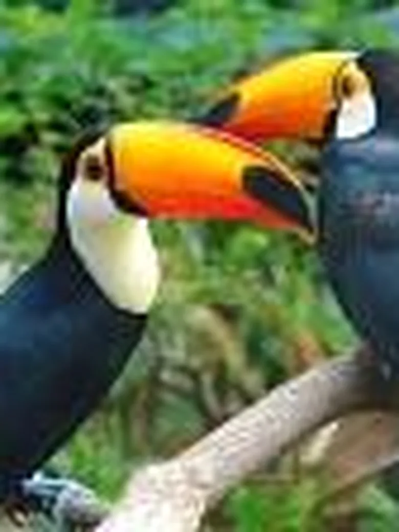 Ausflug in den Vogelpark Walsrode mit dem Eschhoftreff (Nur mit Anmeldung)
