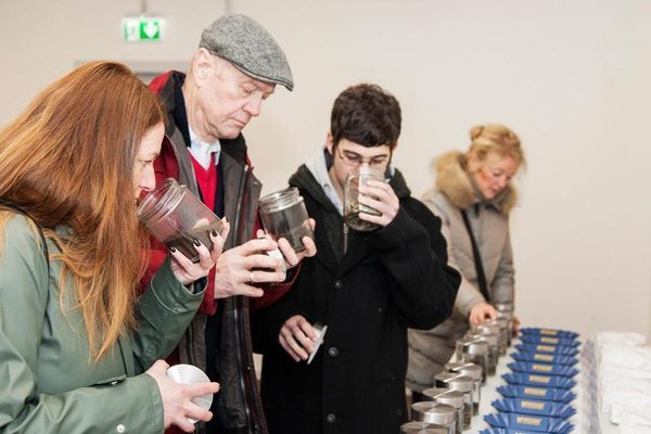 Teetiet mit Tea-Tasting