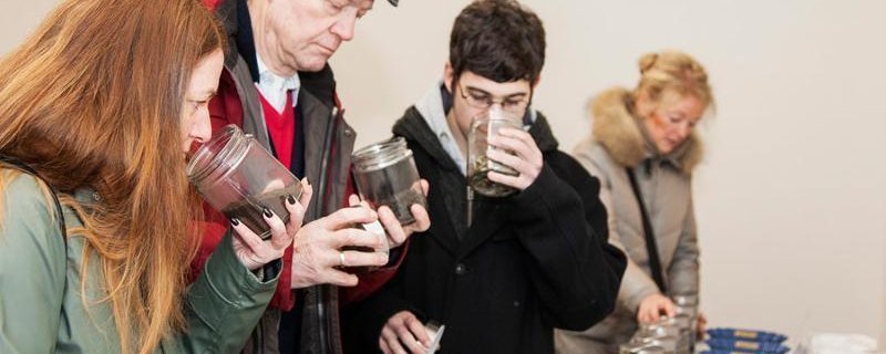 Teetiet - Tauchen Sie ein in die faszinierende Welt rund um den Tee