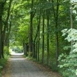 Am Himmelfahrtstag zum Forsthaus Upjever