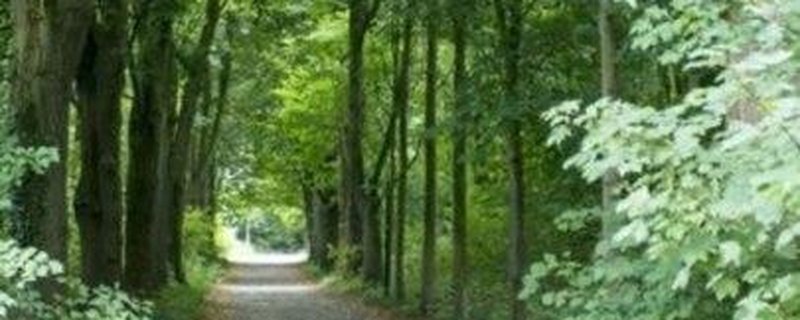 Am Himmelfahrtstag zum Forsthaus Upjever