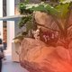 Yoga im Museum – Das Element Wasser