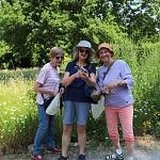 „Kleine Insektenrunde“ durch den Insektenschutz-Schaugarten mit anschließendem Picknick
