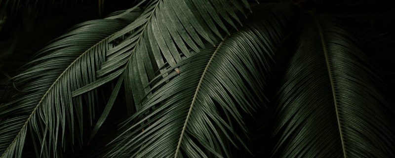 Gottesdienst in Blockdiek mit Pastorin i.R. Haar