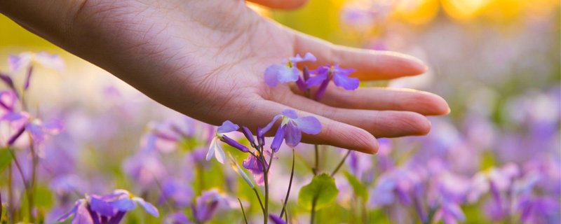 Einführungskurs im Handauflegen